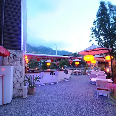 Dream 4* טורונץ'