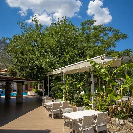 Dream Hotel 4*