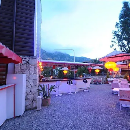 Dream 4* טורונץ'