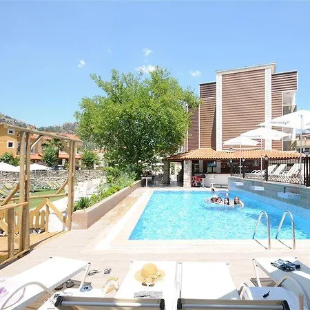 Dream 4* טורונץ'