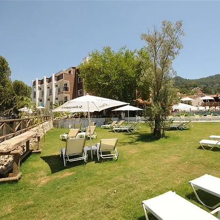 Dream מלון טורונץ'