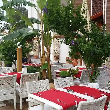 Hotel Dream 4*