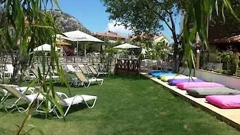 Dream 4* Турунч